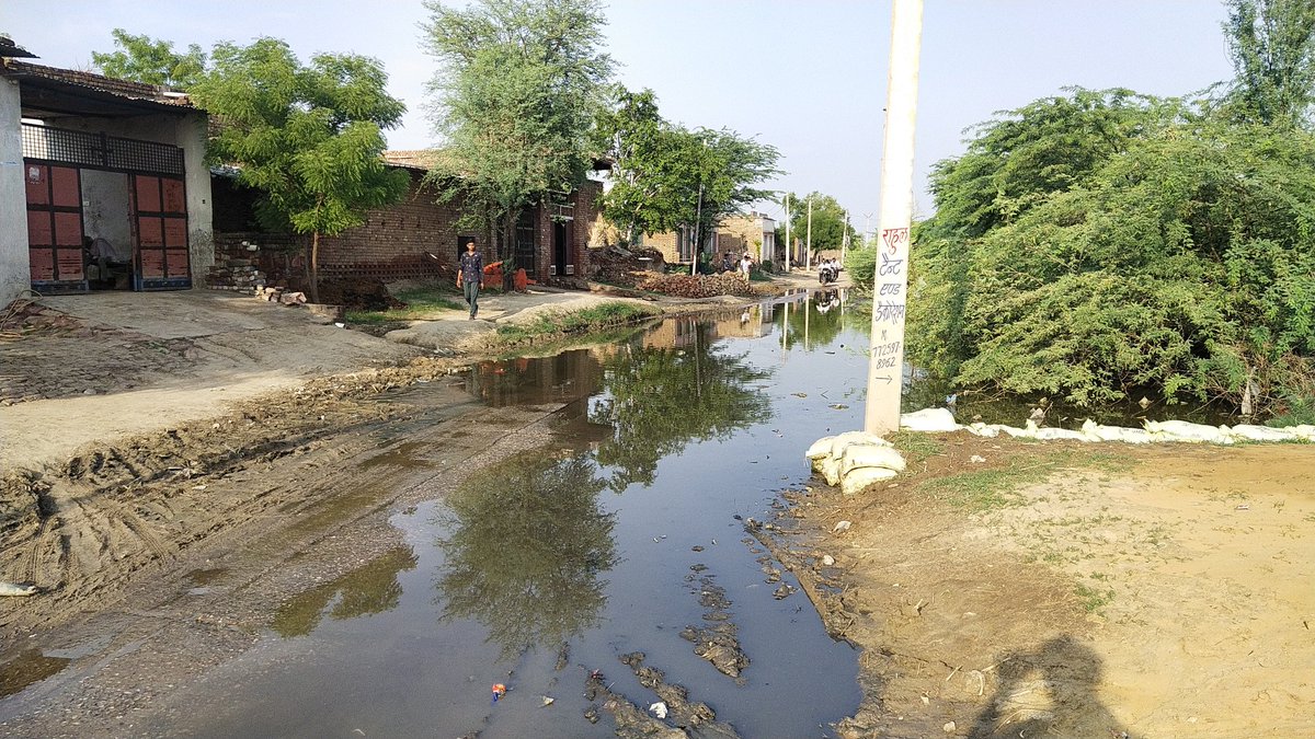 RohitFoujdarBh2's tweet image. कुम्हेर जनूथर सडक मार्ग से गाँव पिचुमर मैं सडक मार्ग पर जलभराव की समस्या है आमजन को लगातार परेशानियों का सामना करना पड रहा है महोदय @DmBharatpur संज्ञान लेकर मार्ग को सही कराएं @thebharatpur @ManudevSinsini