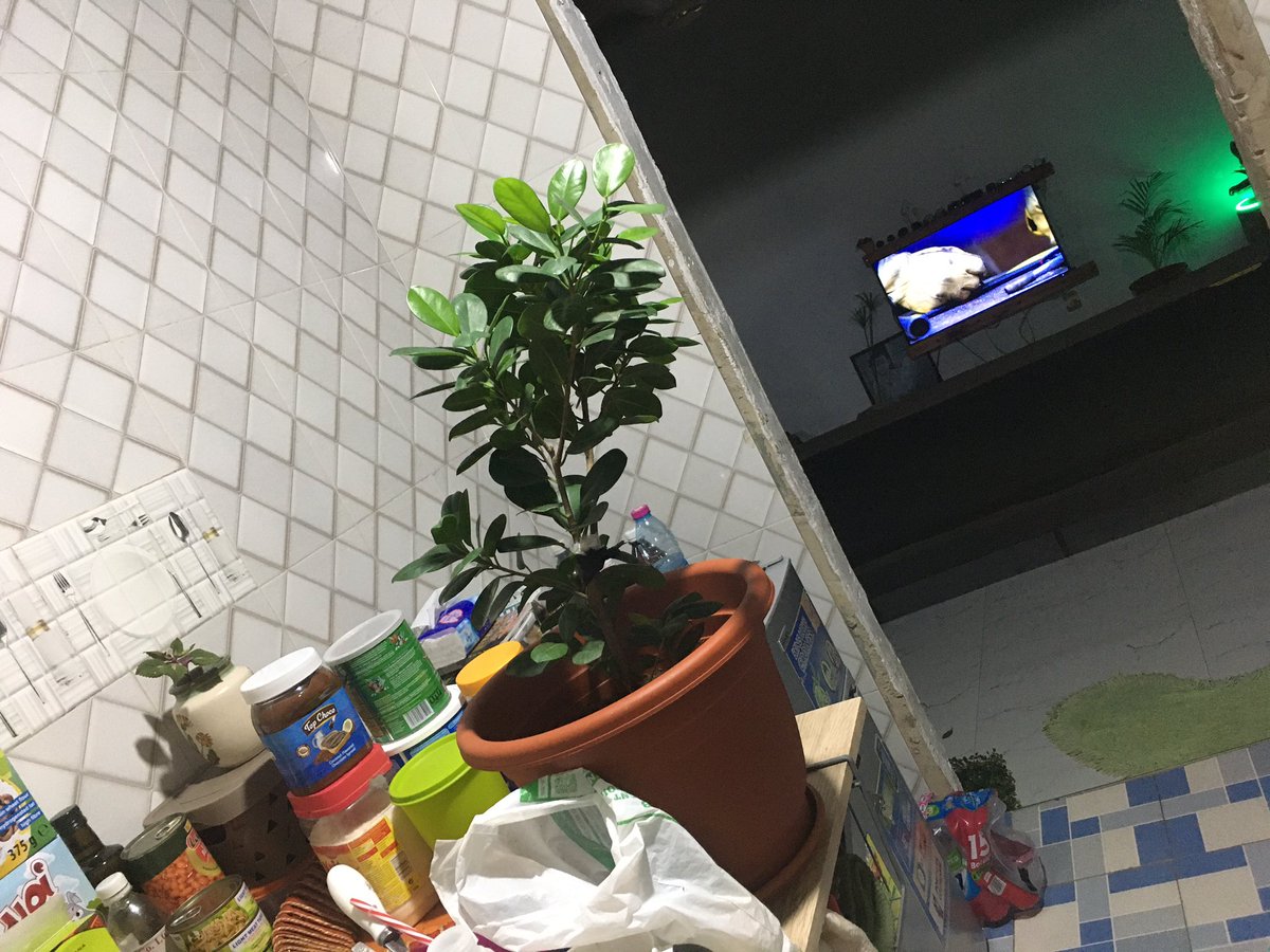 Brightness 🔆 of the Moon 🌝