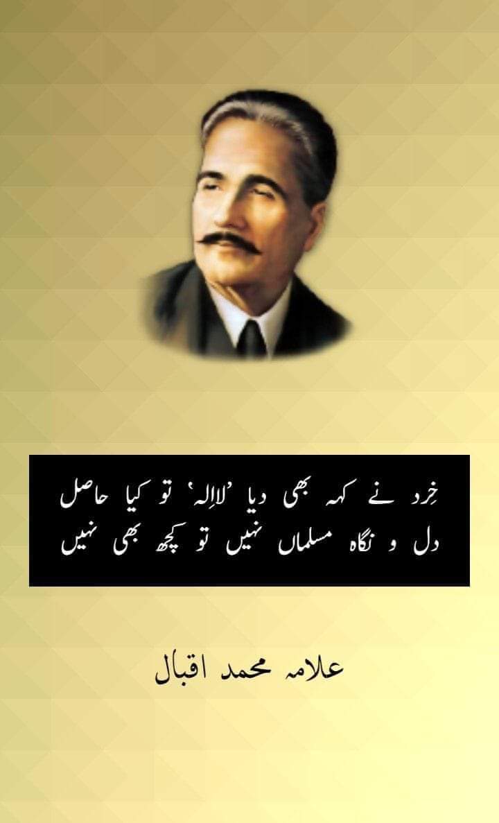 Fareed ULLAH Khan Qureshi (@fareedu33771190) on Twitter photo 