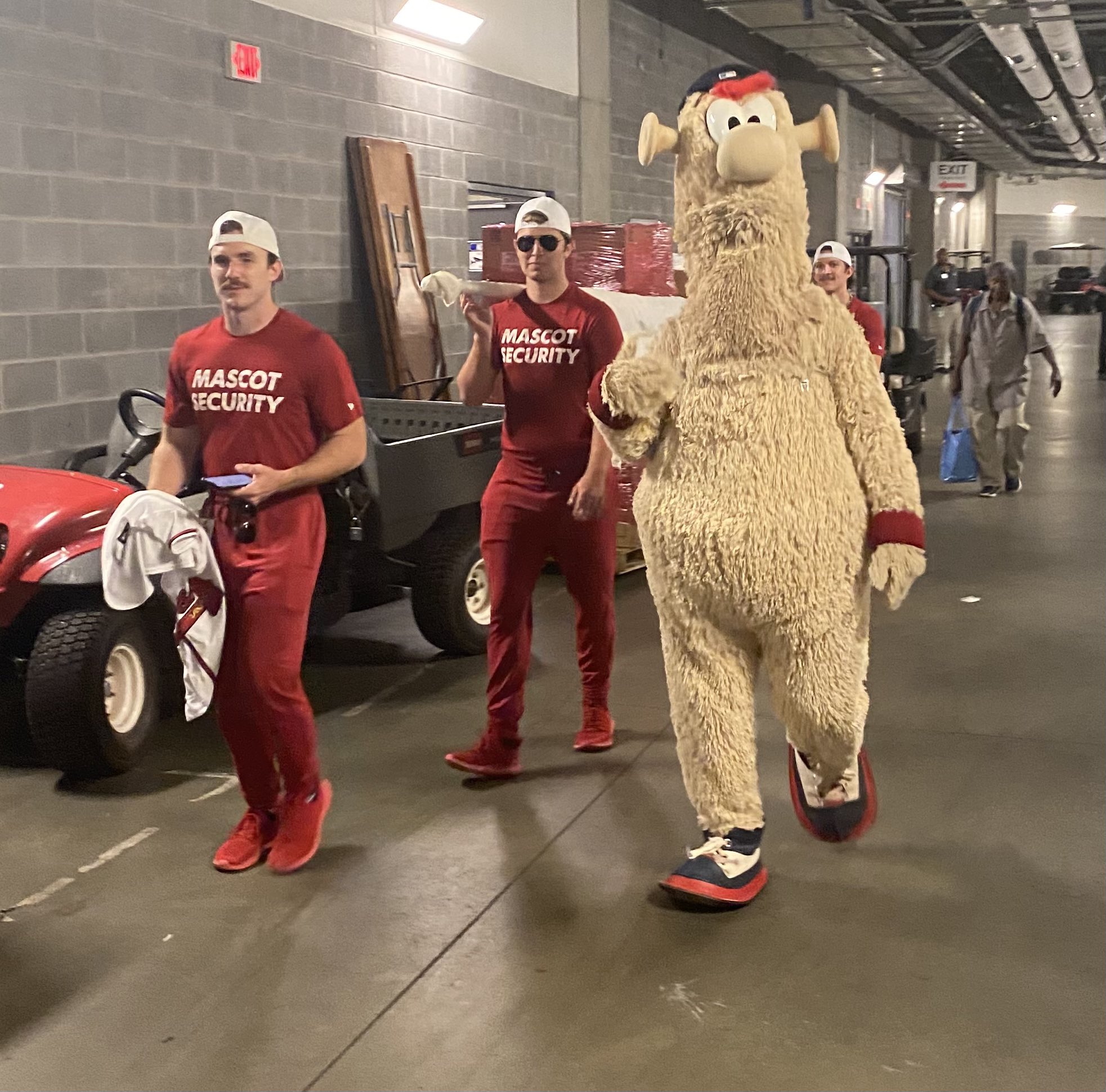 Tim Healey on Twitter: "Blooper is naked https://t.co/56PLNPj7NT" / Twitter