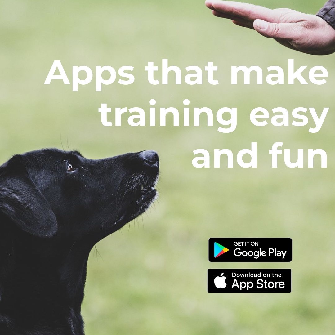 Petner_app's tweet photo. Here are a couple apps that help with training your puppy:
1. Dogo
2. Puppr
3. Pupford
4. GoodPup
5. iTrainer

Have you used any of these? What are your thoughts? 

#pet #dog #dogtraining #petner https://t.co/ciDXl98Zjw