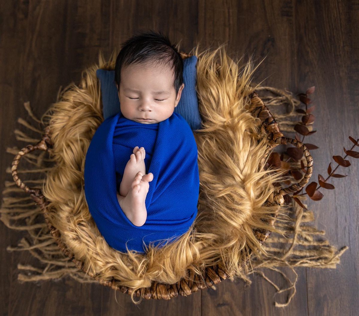 GenesisKemp_'s tweet photo. How is Mateo going to be 1 year old in a week already 🥺💙 https://t.co/nBl8cTD3KS