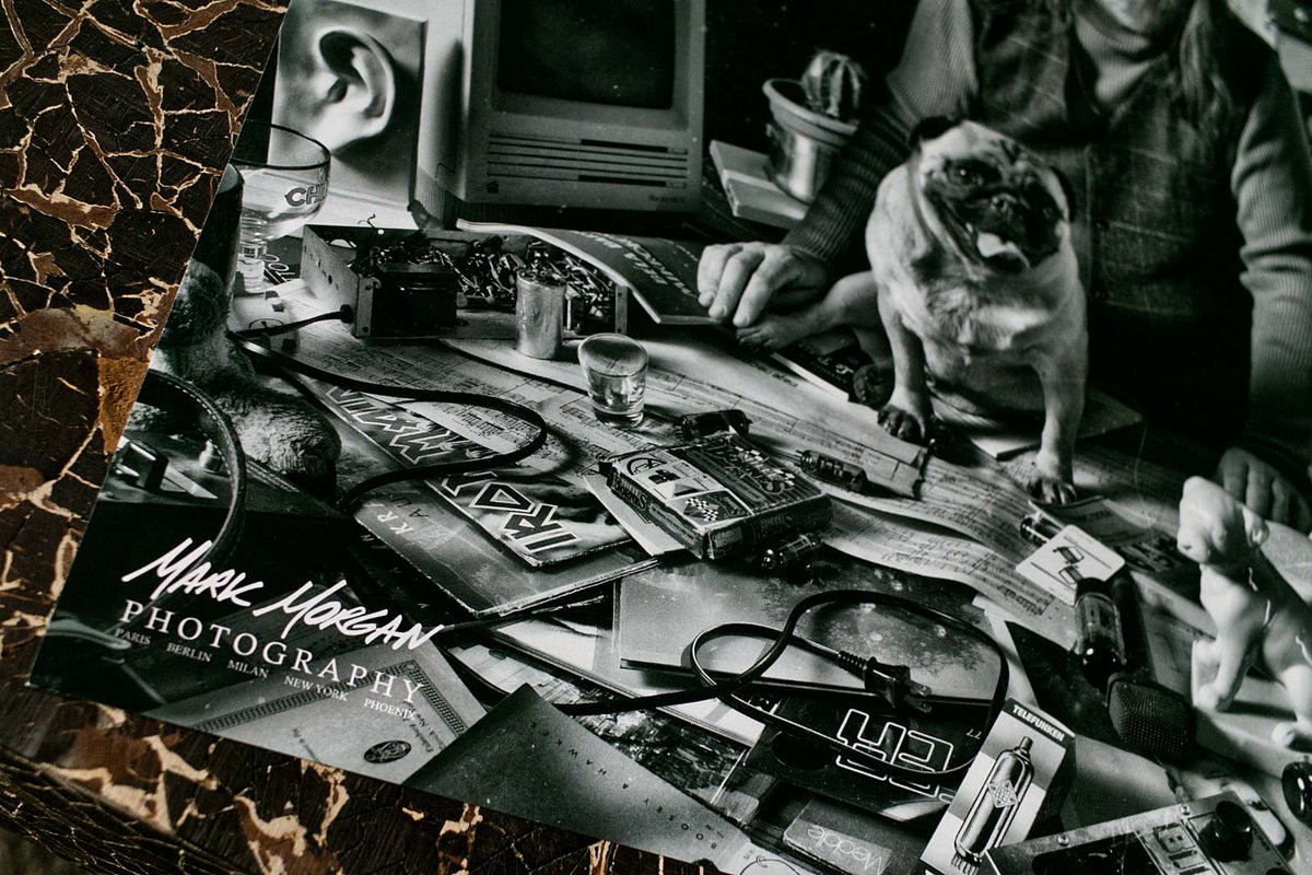 Kiss the Frog tweet media