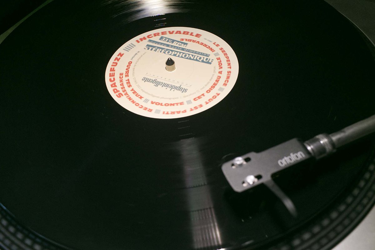 Kiss the Frog tweet media