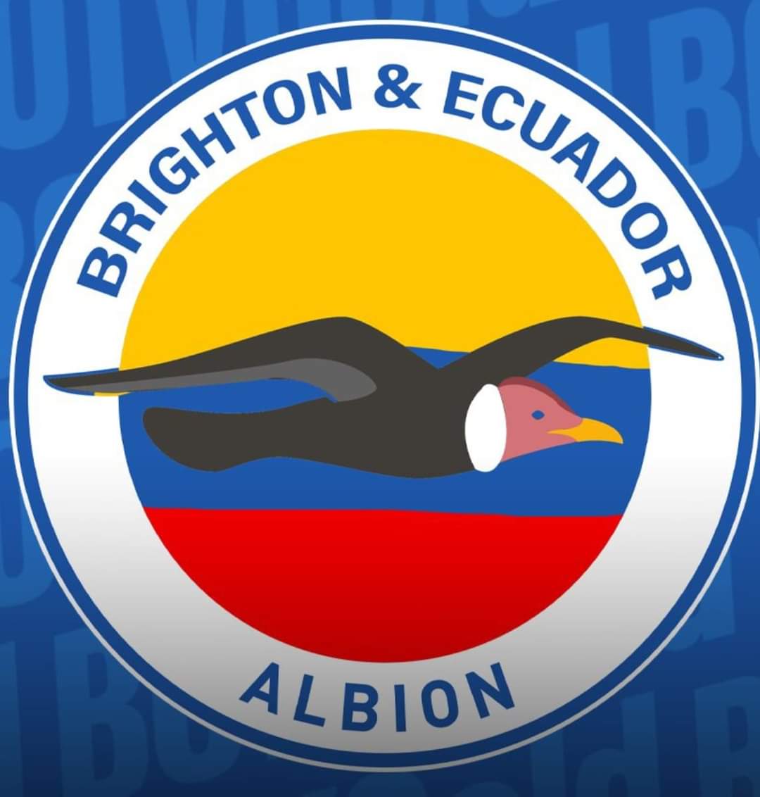 Mathf110's tweet photo. @OfficialBHAFC https://t.co/sZUYuUcS5d