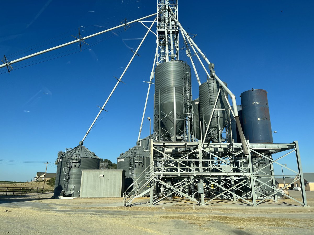 Les Wall tweet media