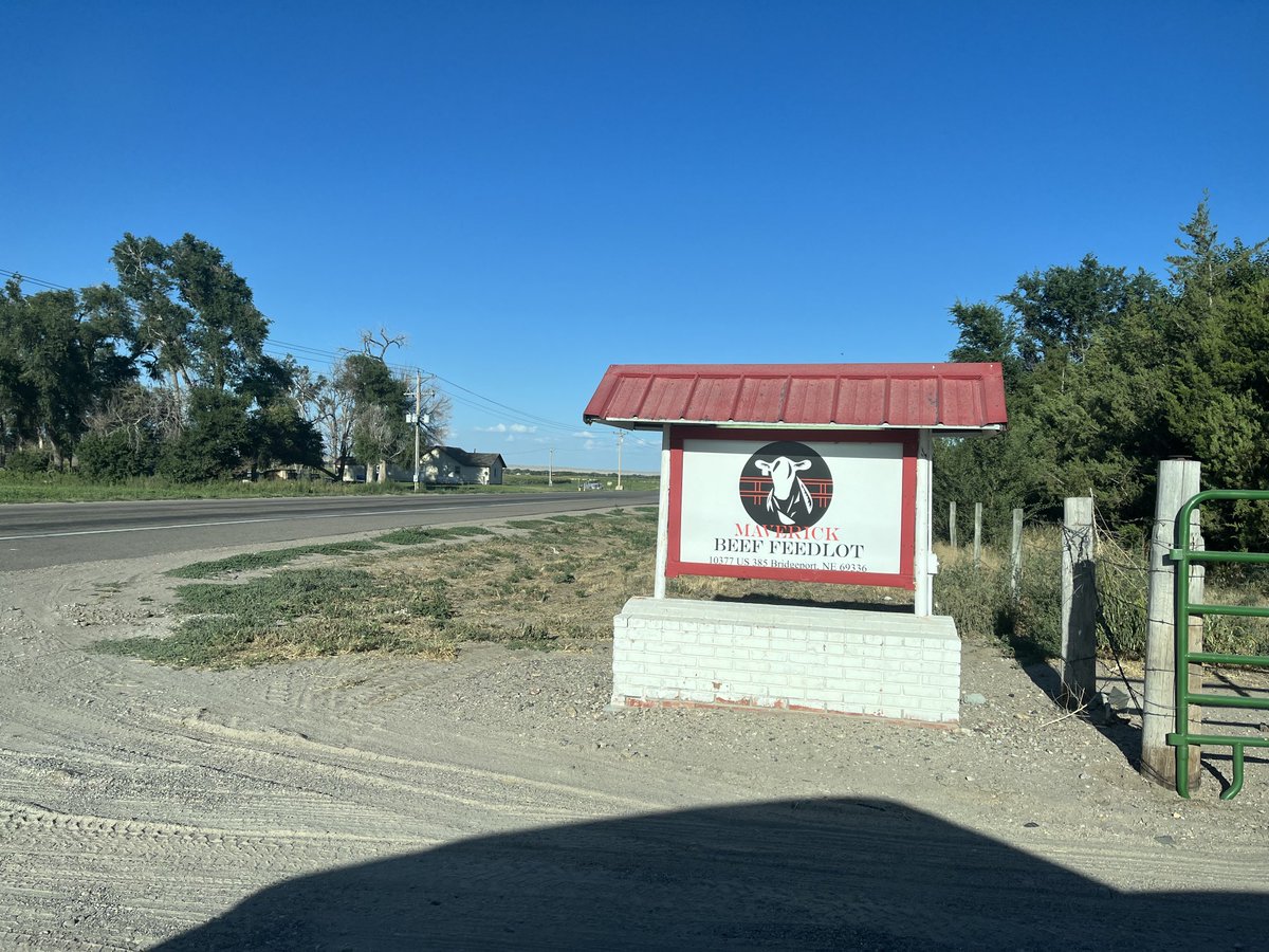 Les Wall tweet media