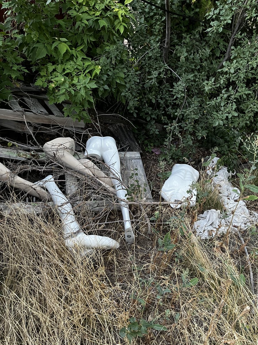 BitchyGriff's tweet photo. My new house has a bunch of mannequin body parts in the back yard and I feel like if we don’t respect them we’re gonna manifest dark energy https://t.co/KEpab6XGux