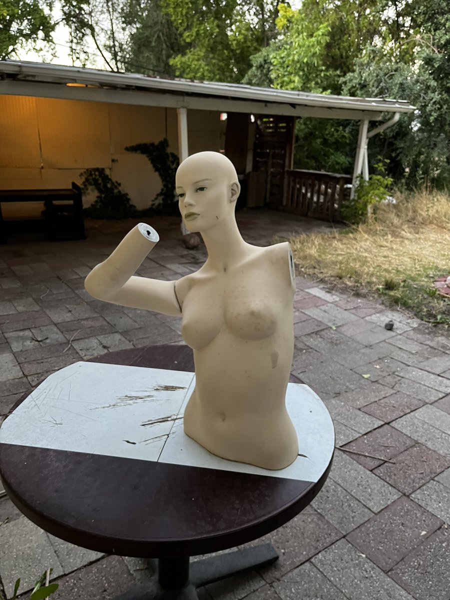 BitchyGriff's tweet photo. My new house has a bunch of mannequin body parts in the back yard and I feel like if we don’t respect them we’re gonna manifest dark energy https://t.co/KEpab6XGux