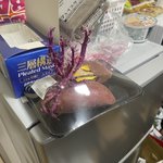 サツマイモを一か月放置したらこうなります!サツマイモの生命力すごｗ