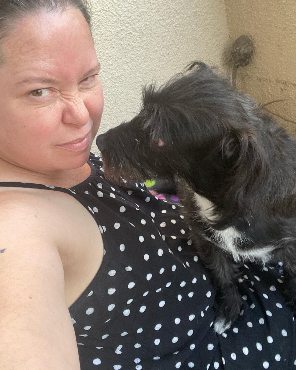 jsfinalgirl's tweet photo. #Mygirl #RipleyEllen426 #adoptdontshop #RescueDogs #cleartheshelter #luckymutt https://t.co/yRZqBwnJCr