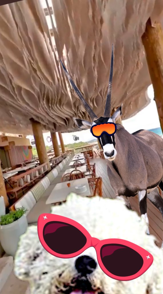 TedCruzPoodle's tweet photo. @OOrynx @ENGlNEERlNG_ @ORYNX Weeeee!
#selfie
#powercouple
#adventureswithsnowflake https://t.co/8sUlFwAP0J