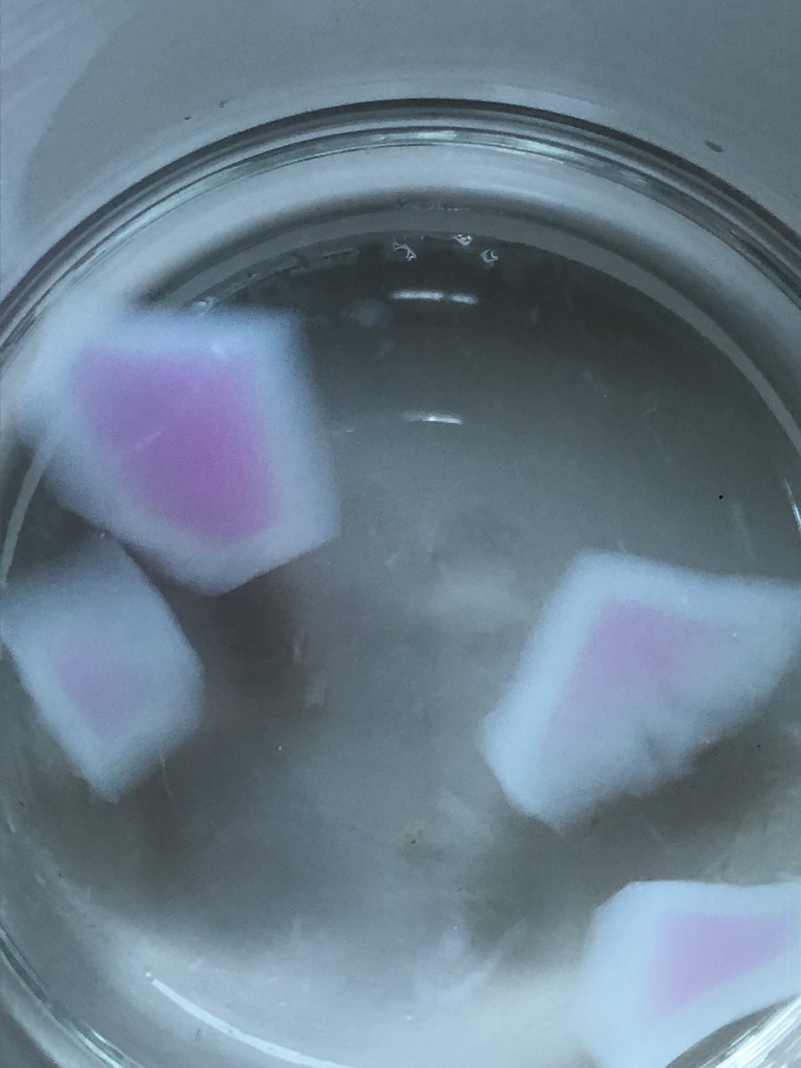 lentzscience's tweet photo. #IBBio cell size labβ¦ donβt eat the jello but DO admire. Science is so pretty π€π #IBDenton https://t.co/xHDvq9Qgug