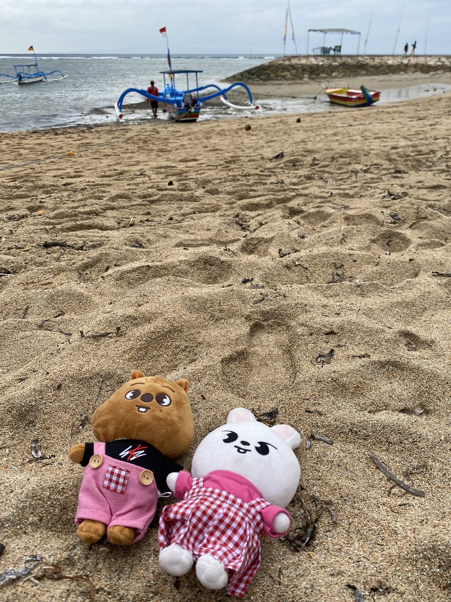 syastay108's tweet photo. beach date with my babies libit and hani 🌸✨🌊☀️ #skzzoo #lebbit #hanquokka #straykidsstraykid https://t.co/oxd9ZM3s2F