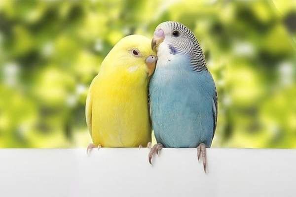ℓιℓιαη 🦋☕ tweet media