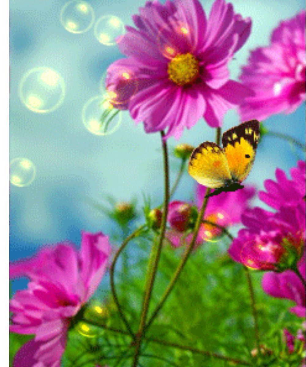 1lllOli's tweet photo. الله يفرج همنا ويسر امرنا ولا يخيب لنا رجاء 
#اسطول_زعماء_تويتر https://t.co/5SHaB5Voee