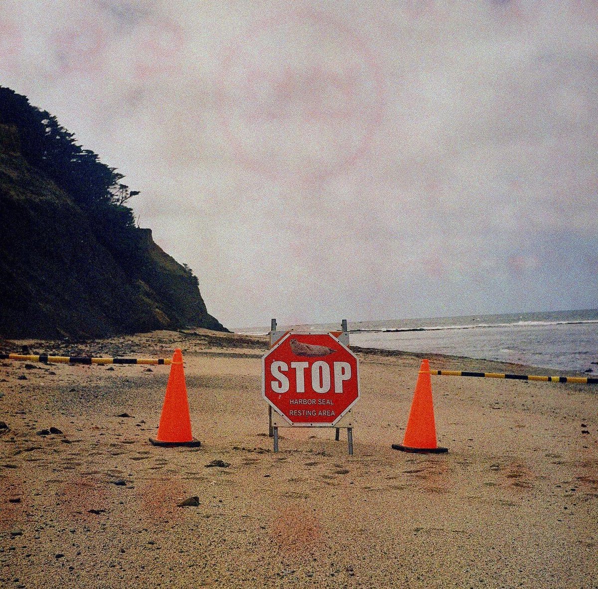 Very expired Fuji Film with artifacts bleeding through. Shot on my rickety Rollei.