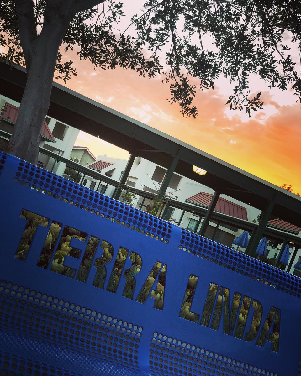 TLSHawks's tweet photo. We couldn’t ask for a more beautiful school! https://t.co/1sHTYnZEDr
