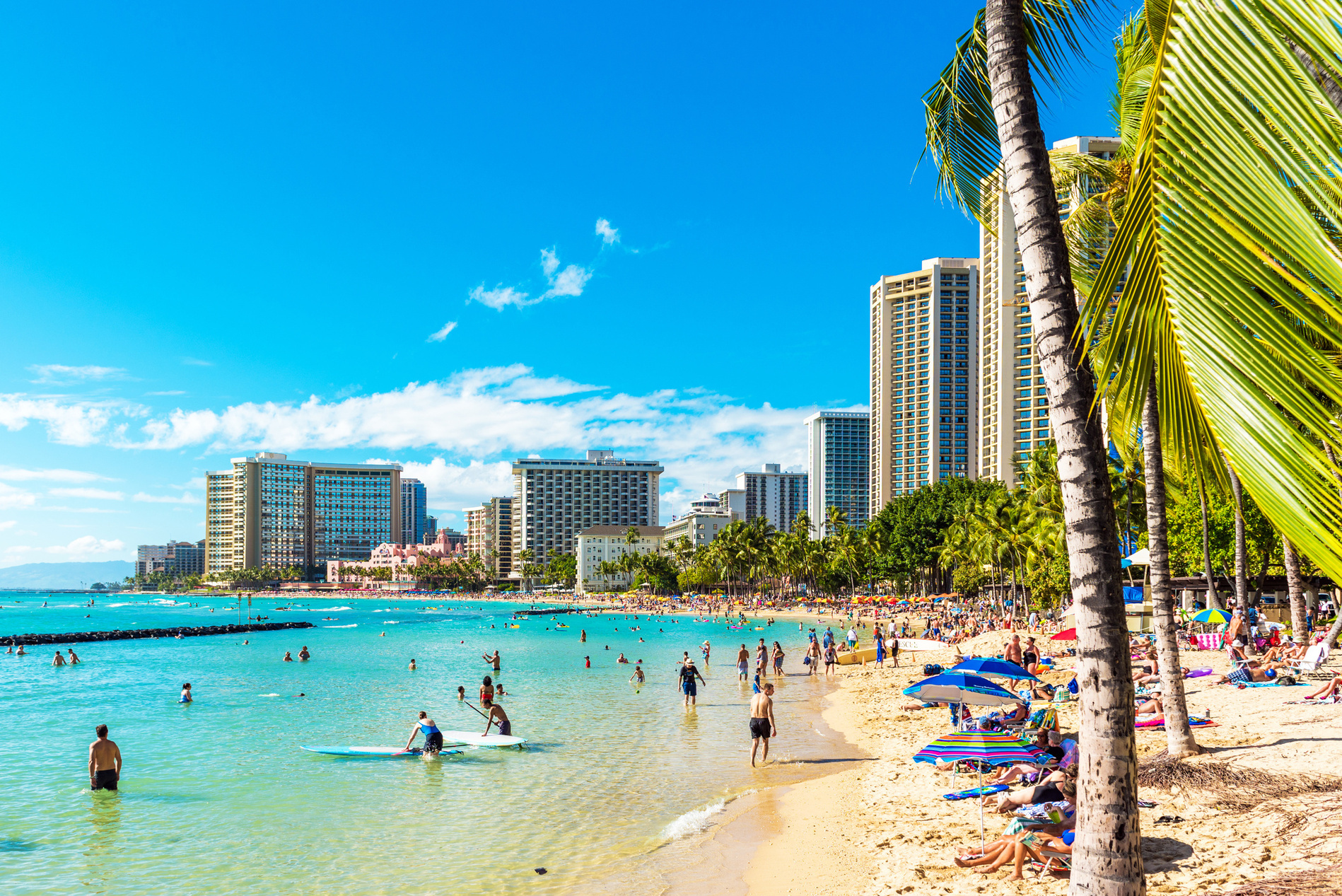 His Hawaii 新宿マルイ本館営業所 His Hawaii 3 Twitter