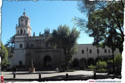 Centro de Coyoacán tweet media