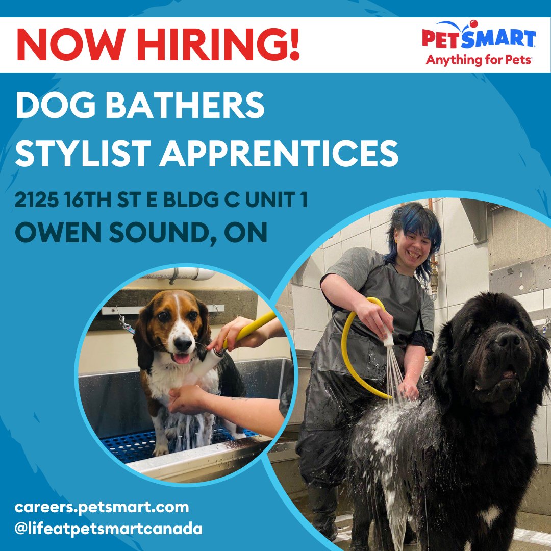 #petsmart #petsmartcareers #petsmartcanada #petsmartowensound #dogbather #stylistapprentice #doggrooming #petstylist #groomerlife #petgroomer #lifeatpetsmart #dogsalon #doggroomer #dogbathing #dogsalons #owensoundjobs #owensounddogs #owensoundgroomer #owensoundcareers