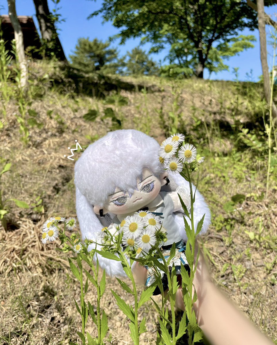 eoeo86005's tweet photo. #무솜인덕장터 #솜인덕장터 #국내무속성

현재 이시간부터 설중매 재고폼 판매합니다! 재고 수량은 4개입니다 감사합니다 😶 

https://t.co/W61InO7fH8 https://t.co/mQ85nP7wI3