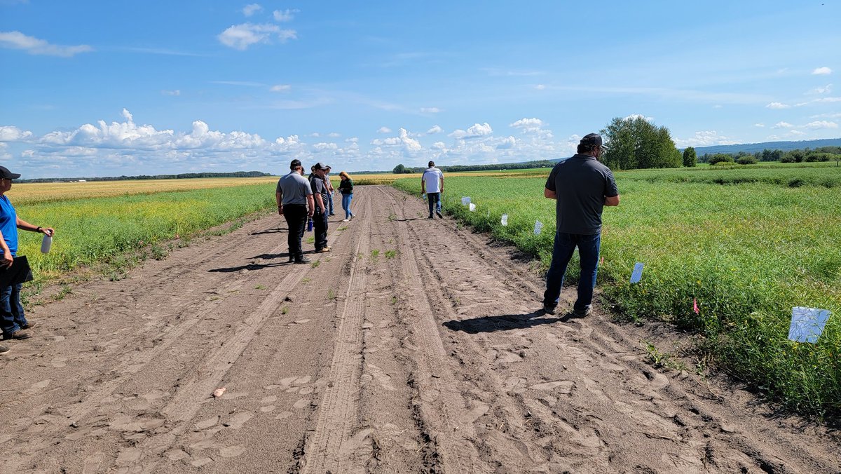 TaurusAgTeam's tweet photo. Thanks to @NEA_Research15 for touring @TaurusAgTeam and @ShurGroFarmServ through their fertility research plots and biological research today looking at the #FutureofFertility and #NextLevelBiology. @PTAGTIV @CG_EfficientP @fertilizerpluS https://t.co/0Tfgs0vHRD