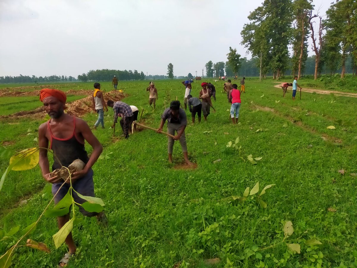 गोरक्षनगरी में एक दिन में लगाएं गए 8.78 लाख पौधे livehindustan.com/uttar-pradesh/… <a href="/GorakhpurZoo/">Gorakhpur Zoo</a> <a href="/vikas_yadav_ifs/">Vikas Yadav (IFS)</a> <a href="/moefcc/">MoEF&CC</a> <a href="/UpforestUp/">Environment, Forest and Climate Change Department</a> <a href="/GorakhpurD/">Gorakhpur Forest Division</a>