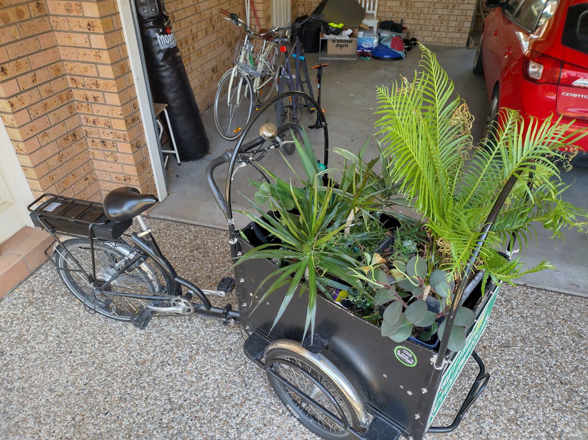 greenforgreens's tweet photo. I just rode a bike-full of plants through the middle of town...
I don't think it gets more cliche. https://t.co/ZJNv9jHzyh