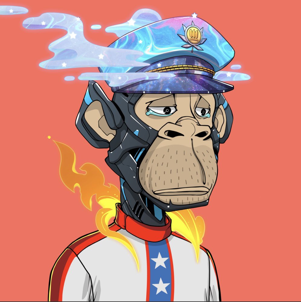 Enlightened Monkey tweet media