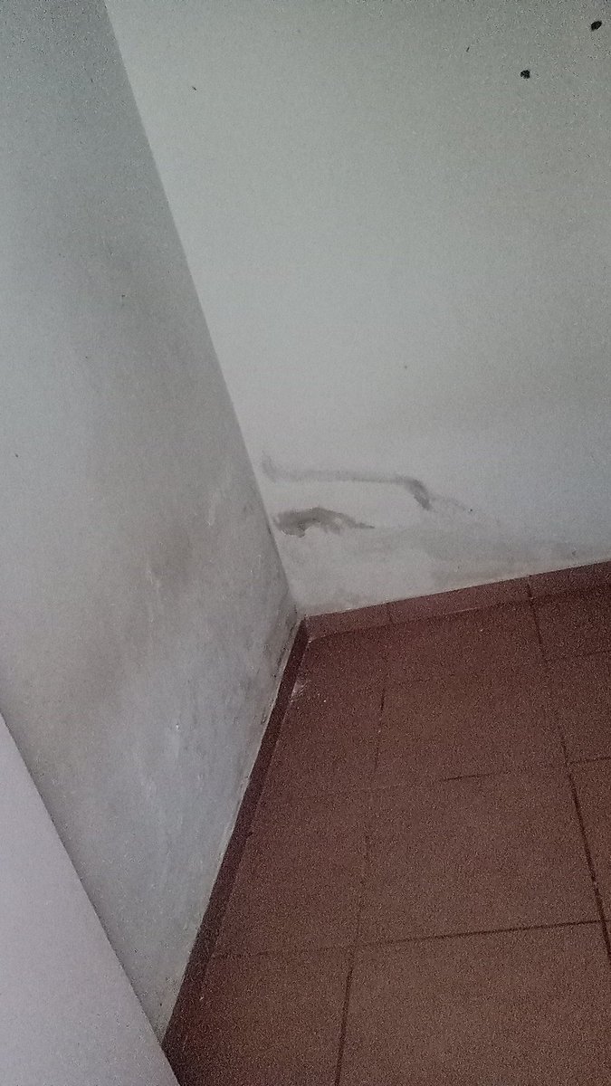 Carolin090812's tweet photo. @cirogomes seu partido tá com essa liminar , pra derrubar um empréstimo consignado,  sou #mãebpc só eu sei o qnt eu preciso meu filho além do Cid F.70 é asmático crônico então tenha empatia ! https://t.co/YxLZyEvcqw