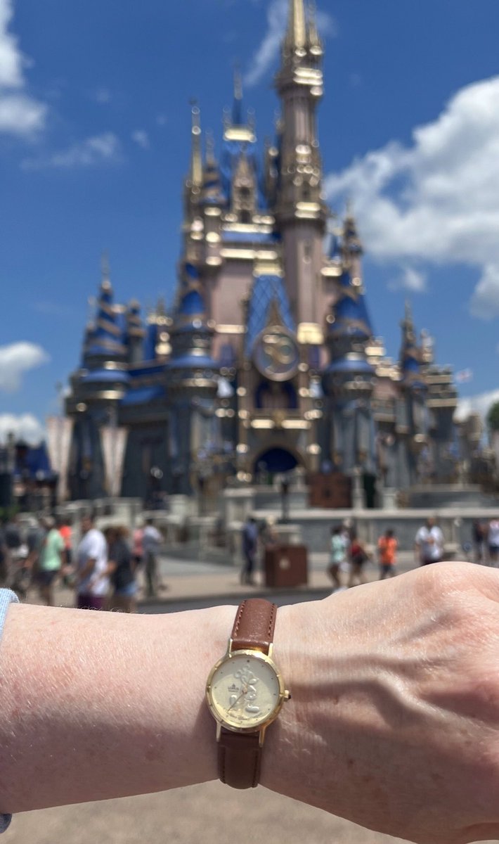 dumpity22's tweet photo. #lorus #loruswatches #WaltDisneyWorld after almost thirty years, thought it was about time I brought my Mickey watch home again x😍x https://t.co/DWrAXDKyEh
