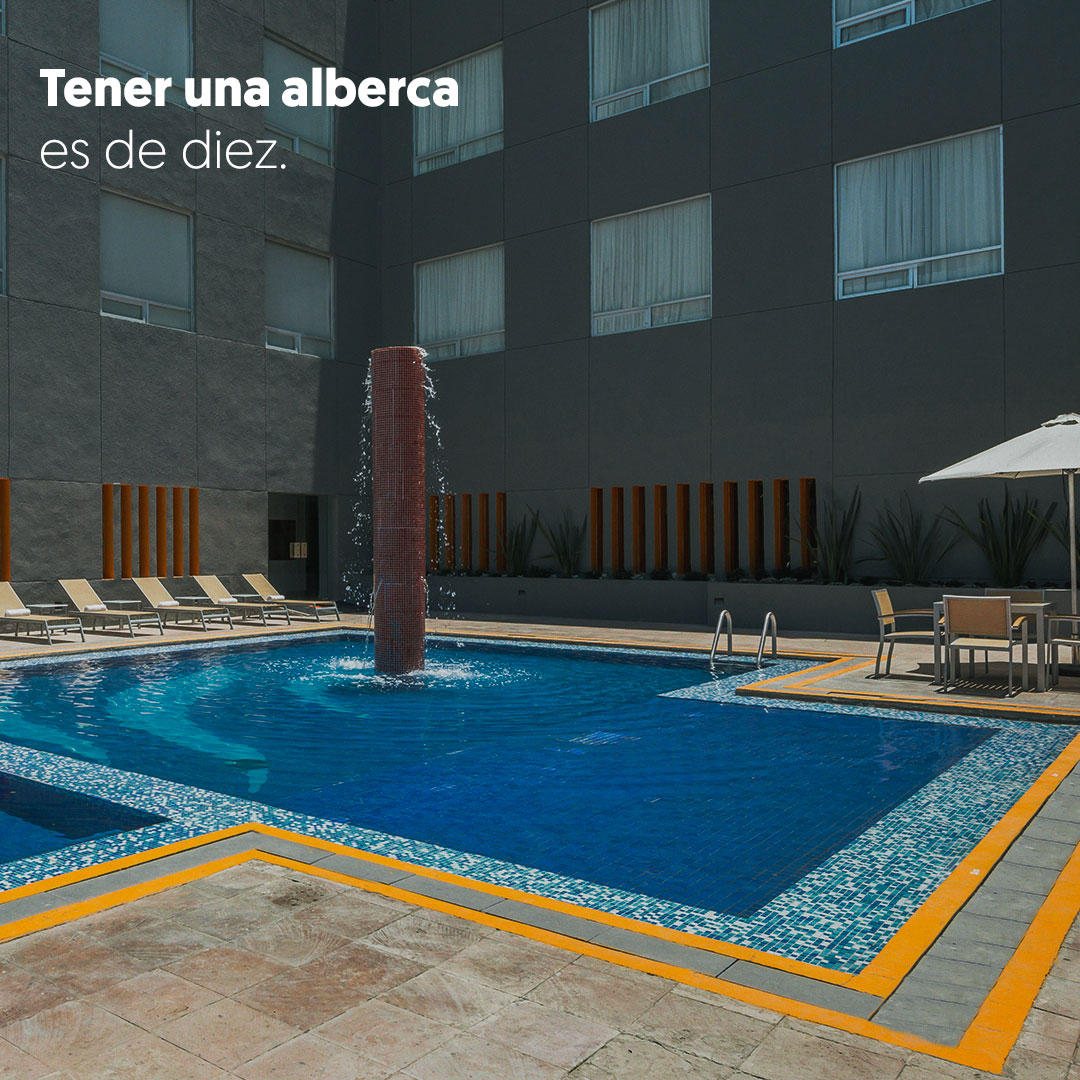 hotelesrealinn's tweet photo. Tener un #hotel a buen precio es un diez, pero #RealInn es un 1000.
Recuerda reservar con el link: https://t.co/JTdAxLtpXo
#Viaje #BuenPrecio #Eventos #Negocios #Alberca #Torreón https://t.co/zMYkcQTtLT
