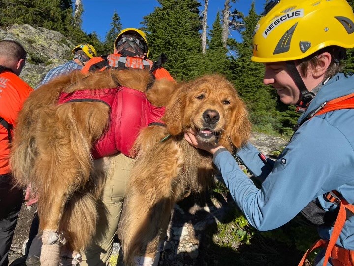 jarmstrongbc's tweet photo. The bad news: Duke the dog cut his paw pads during a mountain hike tonight.
The good news: The good boy got to ride in a @NSRescue chopper.
Video of his arrival + reaction from his grateful human—@GlobalBC News at 11.

Oh, and of course the latest on the missing zoo wolves. https://t.co/lSqmaOIzqr