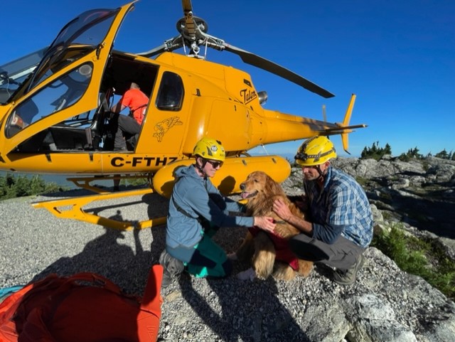 jarmstrongbc's tweet photo. The bad news: Duke the dog cut his paw pads during a mountain hike tonight.
The good news: The good boy got to ride in a @NSRescue chopper.
Video of his arrival + reaction from his grateful human—@GlobalBC News at 11.

Oh, and of course the latest on the missing zoo wolves. https://t.co/lSqmaOIzqr