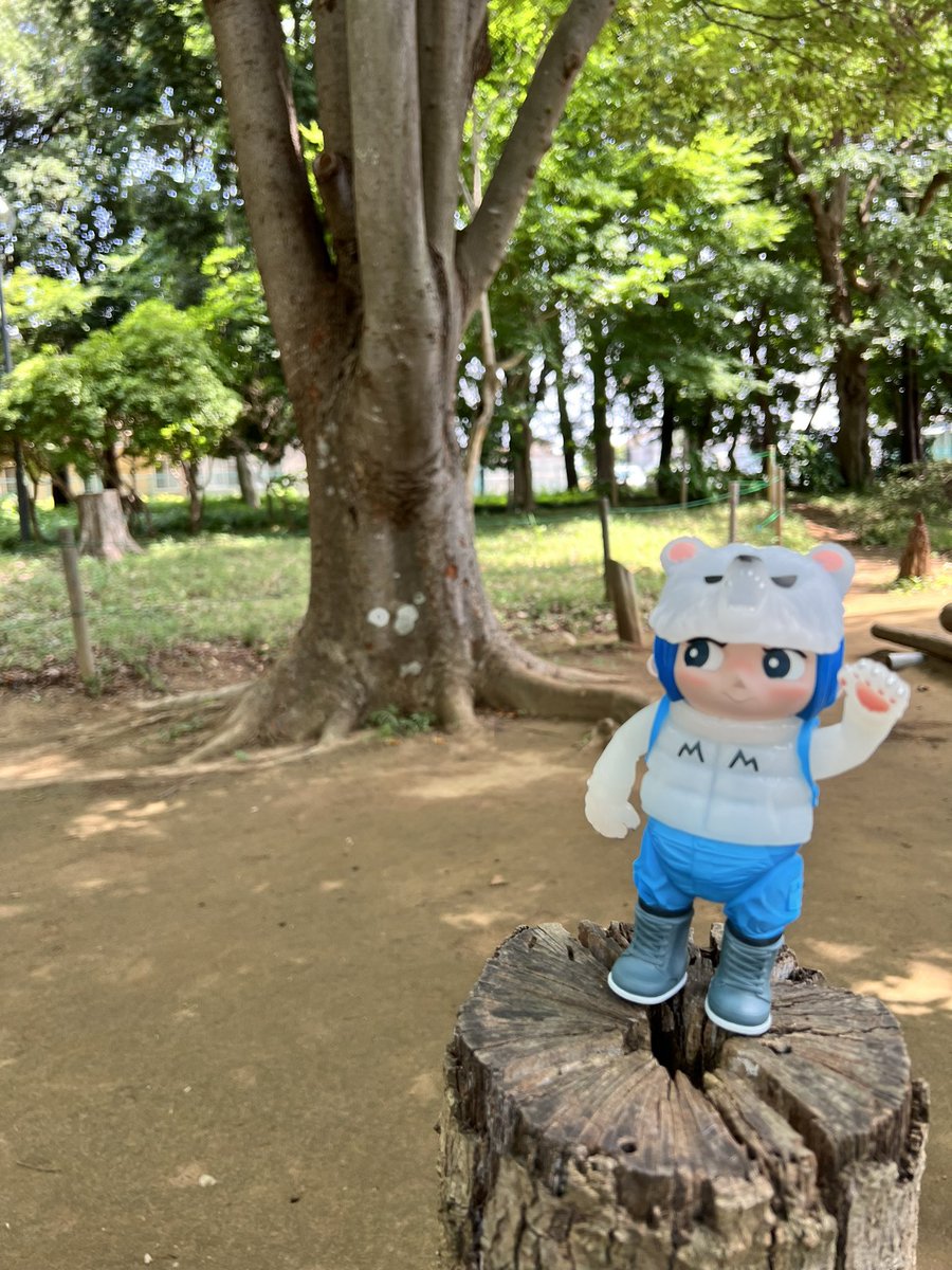 neri052's tweet photo. あつーい💦
diversちゃんたち連れて自然散策してきた☺️🍀
#diversdreams
#MASHROOMMOUNTAIN 
#QJAM https://t.co/GdI3rC7gYv