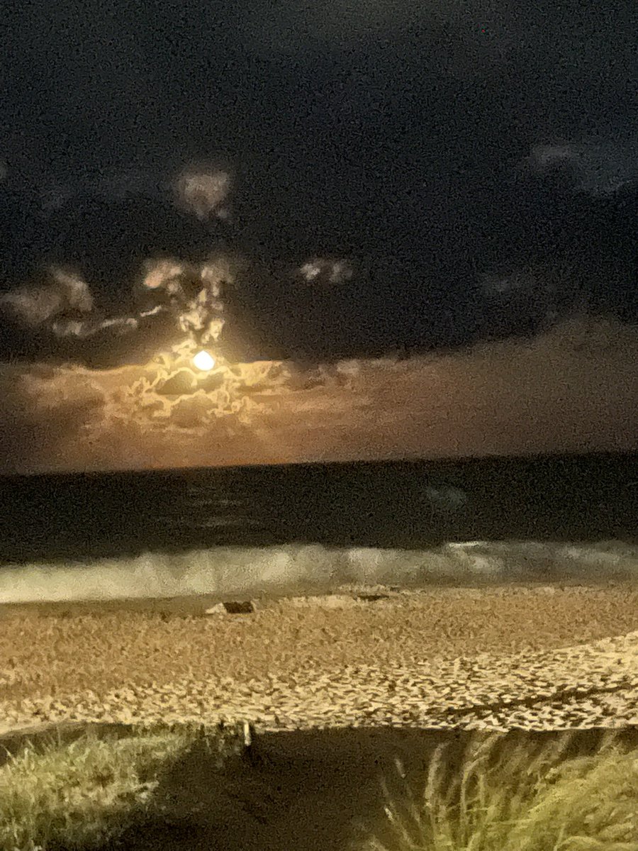 shane_mannix's tweet photo. Even at night, the beach shines @SeaBethany #beach #moon #beachmoon https://t.co/BX7ms2ZGcP