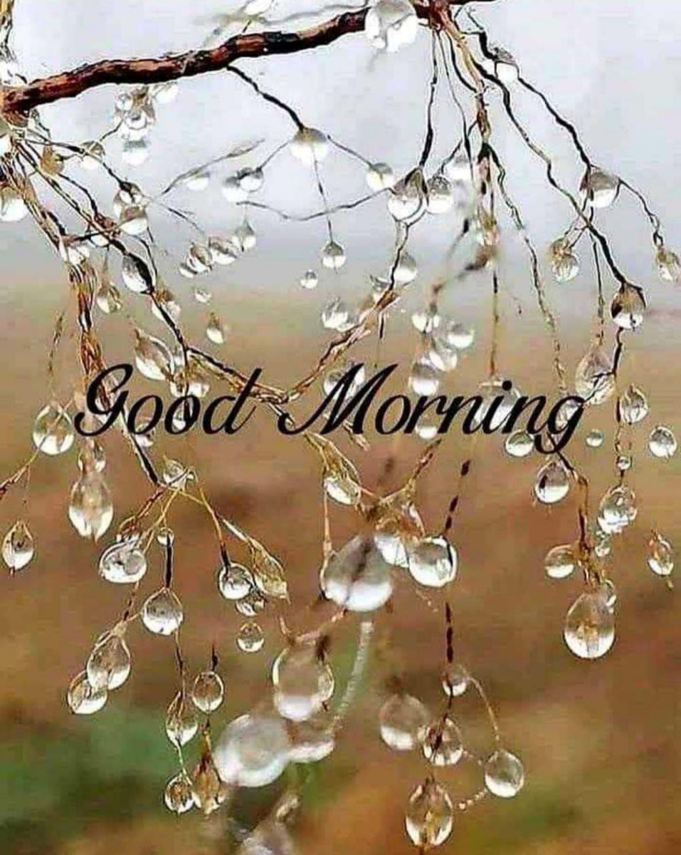 Subhash54150981's tweet photo. @Cherry59356479 @AwA_Views Thank you! Wishing you a Sunshine ☀️, Fruitful Wednesday! 🤞🙌 https://t.co/USM4Sw25yM