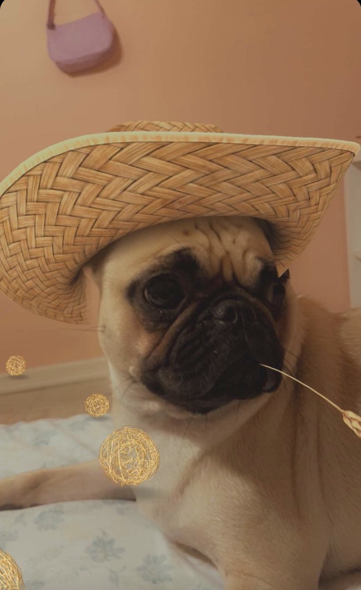 missing the farm😔🐄🐓🌾