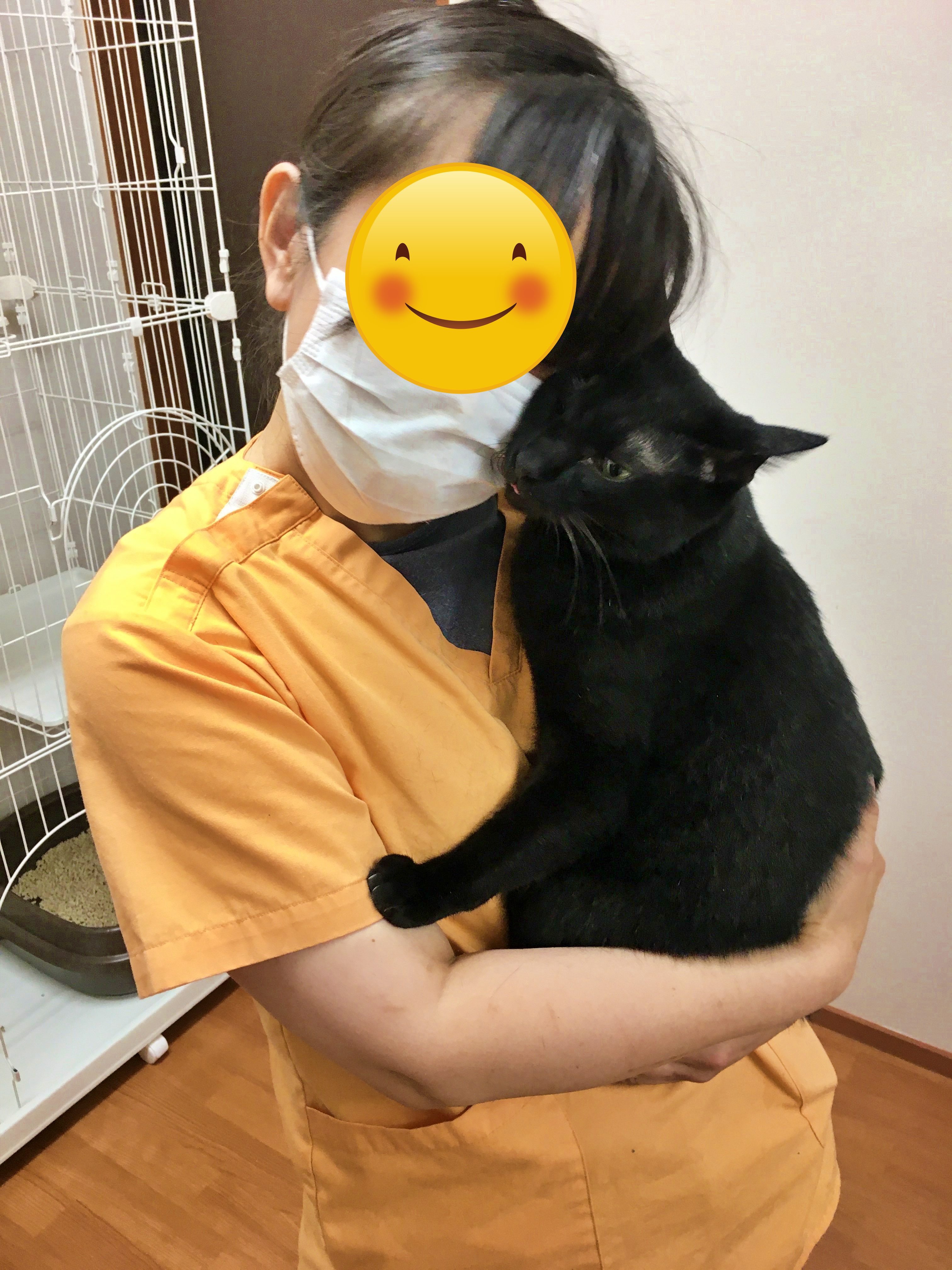 犬猫生活 保護財団へ12円 Lineお友だち数を寄付します 今日は 黒猫感謝の日 わがシェルターの黒猫といえばくろすけさん 獣医の先生にべったり甘えて 赤ちゃんみたいね と言われてます とっても甘えん坊な男の子 思いっきり甘えられる家族を