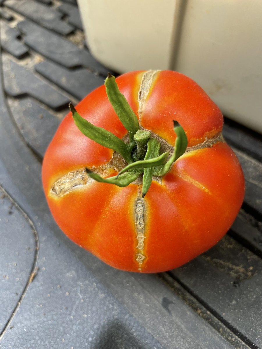 Ed Sikora tweet media