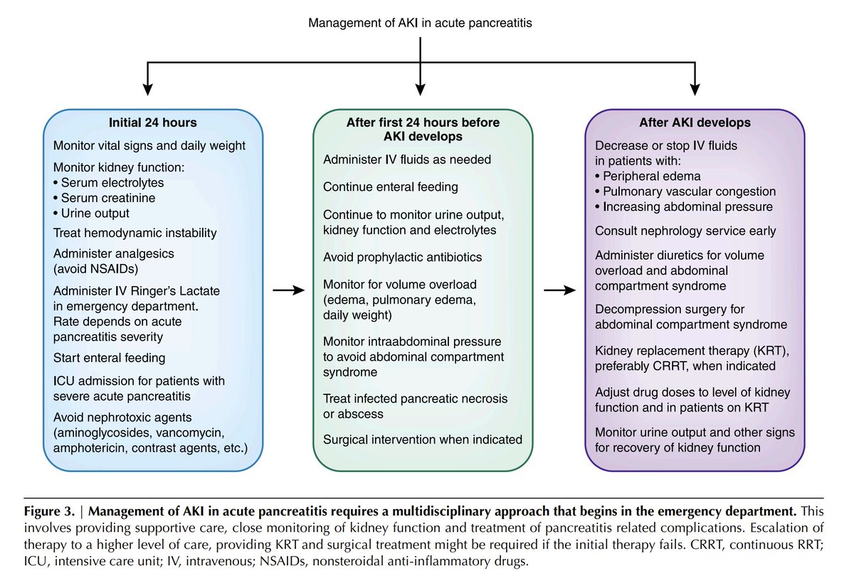 edgarvlermamd's tweet photo. AKI in Acute Pancreatitis ca. 2019 #Nephpearls #AbdominalCompartment

👉 https://t.co/duXf1kDiMu https://t.co/xagqZNMvuL