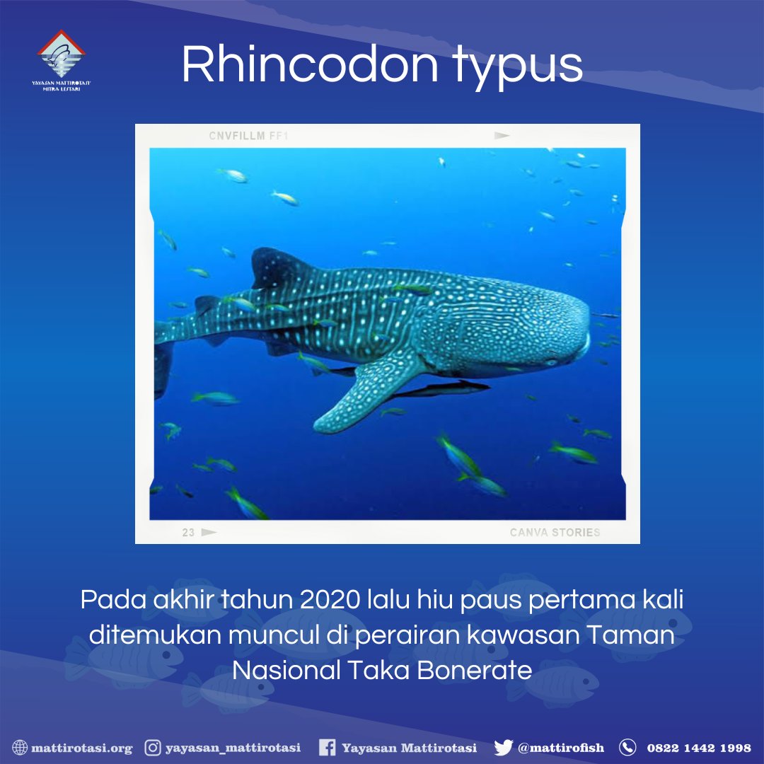 Yayasan Mattirotasi tweet media
