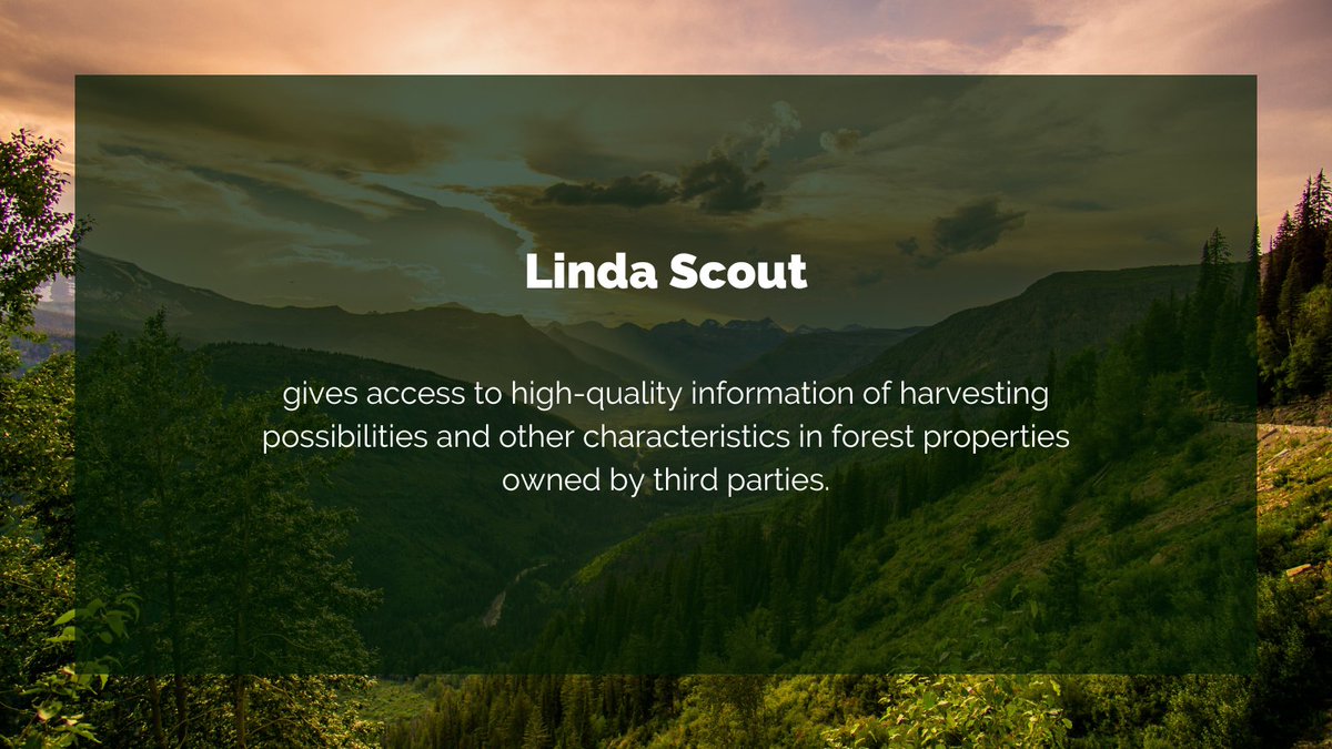 CollectiveCrunch tweet media