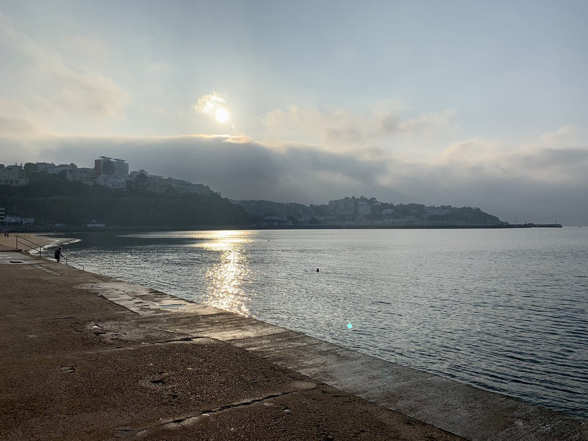 loulouscorpio's tweet photo. Starting the day with a #swimble Calm before the storm, 11 #Swans are joining us all this morning 😂 🦢🧜‍♀️ https://t.co/ZTs4YWrRku