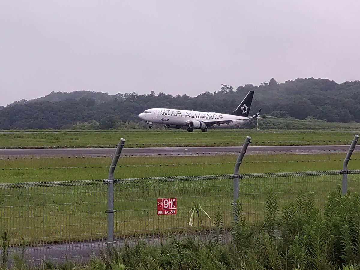 Johnny_aircargo's tweet photo. 雨天の岡山🌧
大小色んな機体が😍
B738のスタアラお初です😊
#RJOB
#岡山桃太郎空港 https://t.co/5btK93ww2M