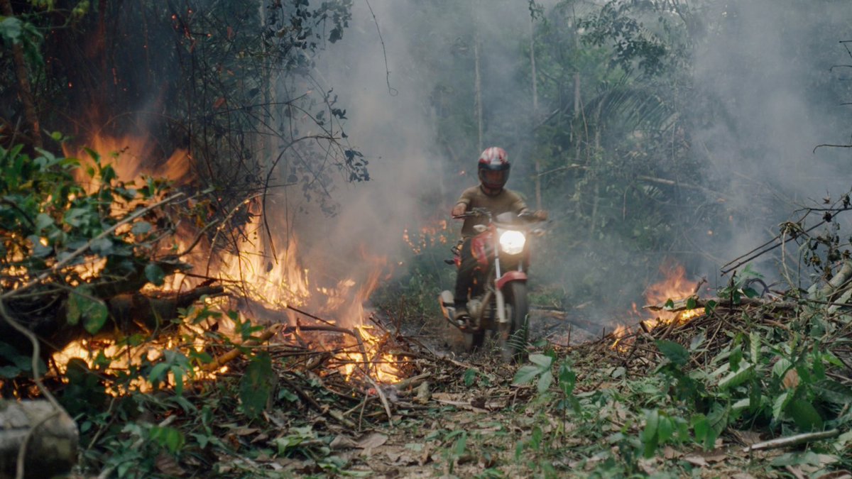 karl_delo's tweet photo. THE TERRITORY is remarkable documentary storytelling as it follows an indigenous tribe in Brazil fighting against illegal invaders. The immersive filmmaking (the sound!) pulls you in like the greatest thrillers and then stuns you with the raw emotions of the people at its center. https://t.co/4MPlrzfKrt