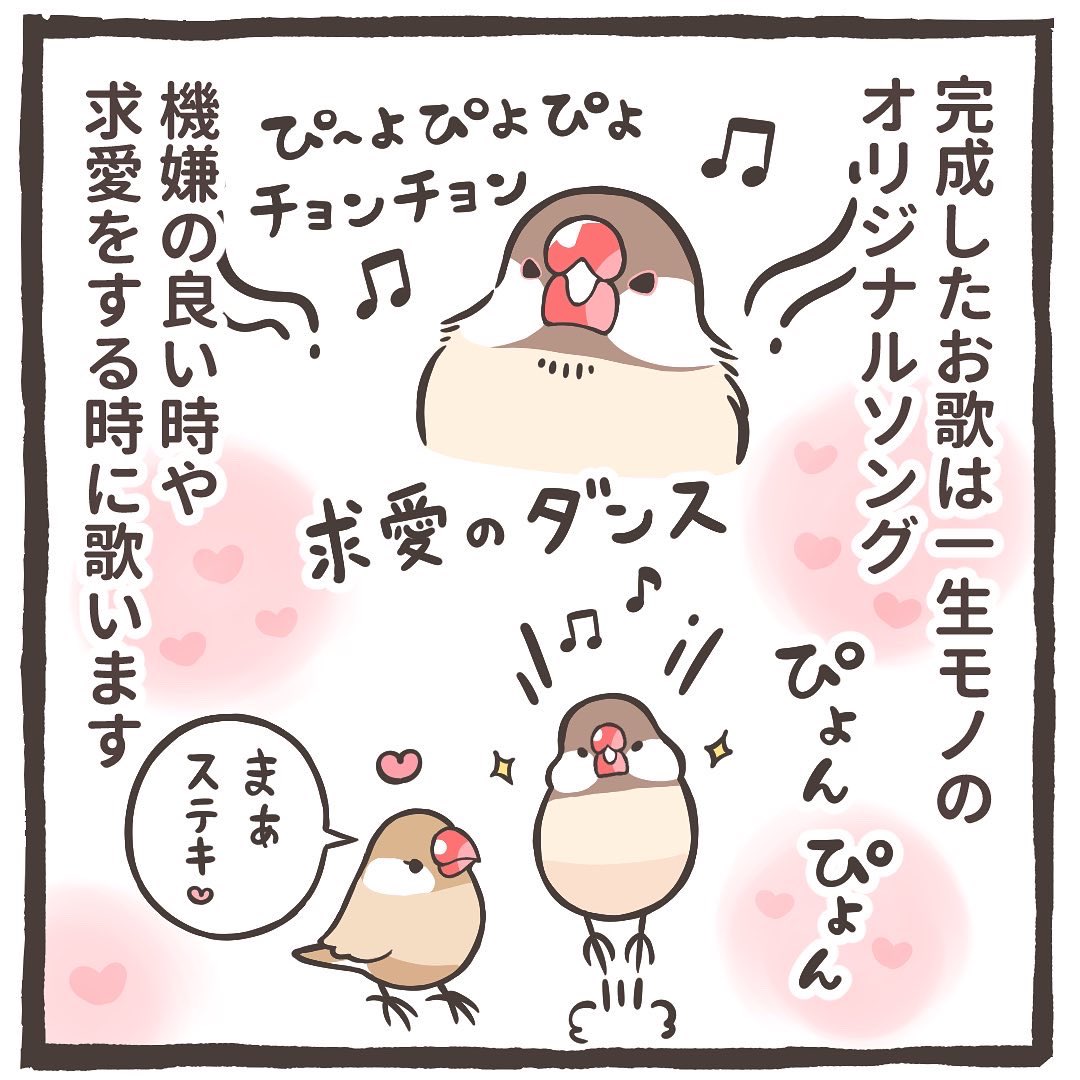 マンガ、トリ扱い説明書をアップしました⤴️🐥

文鳥さんってどんな鳥さん?
あらためて描いてみました✏️
↓↓
https://t.co/1xu7C2HtIv 