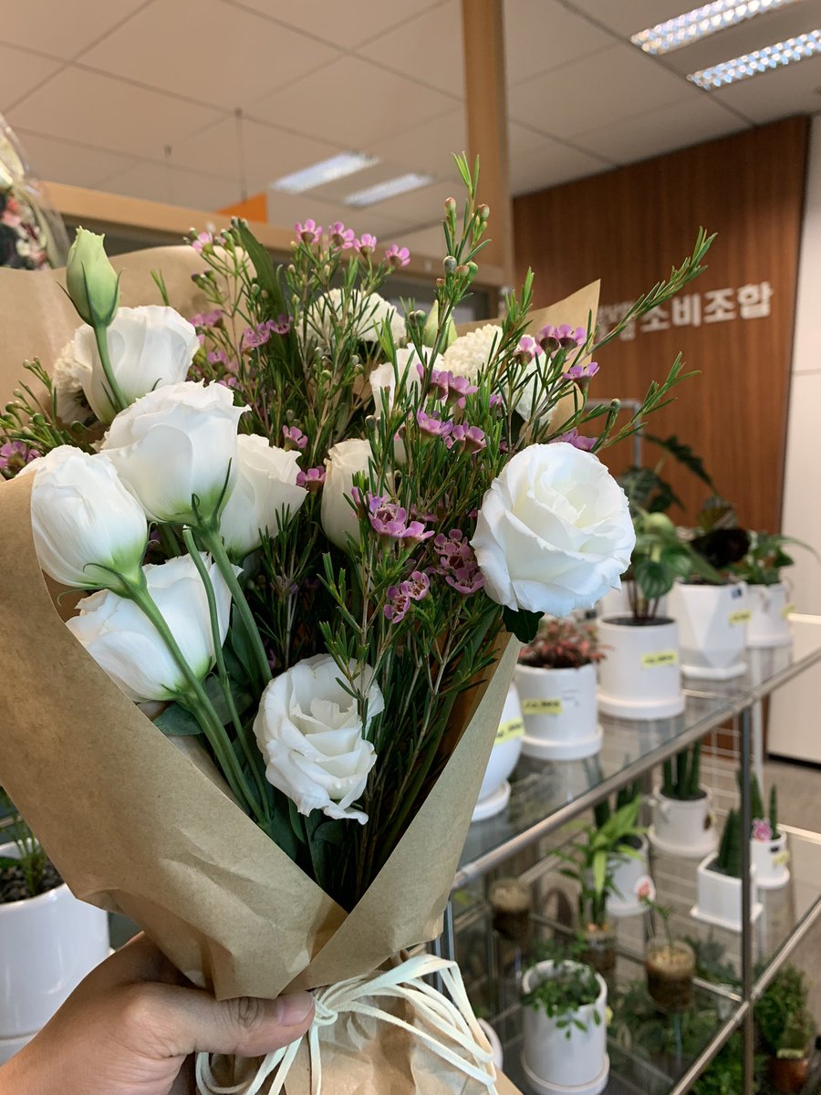evenmoretrue_s's tweet photo. 광화문 교보빌딩 17층에 가면 교보생명노조가 운영하는 소비조합이 있는데, 거기 꽃집 저렴하고 생화 퀄러티 넘 괜찮더라구 https://t.co/z8nGoxdypW
