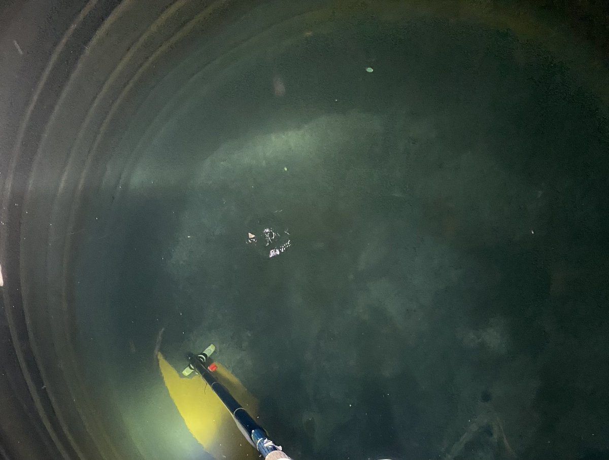 CleanTanks1's tweet photo. Want your Water Tank cleaned in Nelspruit, Polokwane, Kayalami, East Gate, North and South Coast of KZN, Transkei, East London, Nelson Mandela Bay, without draining all your precious water? Contact us: cleantankssa@gmail.com Join the #CleanTanks community. https://t.co/JZqLa8dHI8